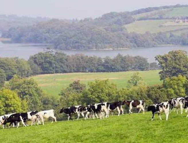 Farming:Veggie steaks hits Tesco supermarket episode artwork