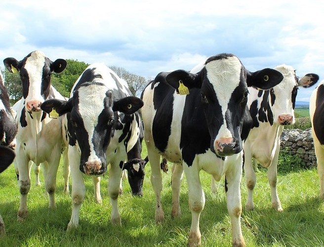 Farming: Brexit will mean price hike episode artwork