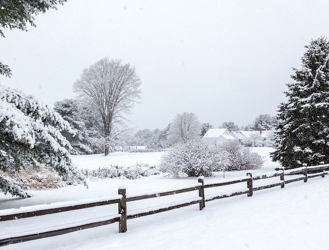 Farming: Are you alone in this cold weather ? episode artwork