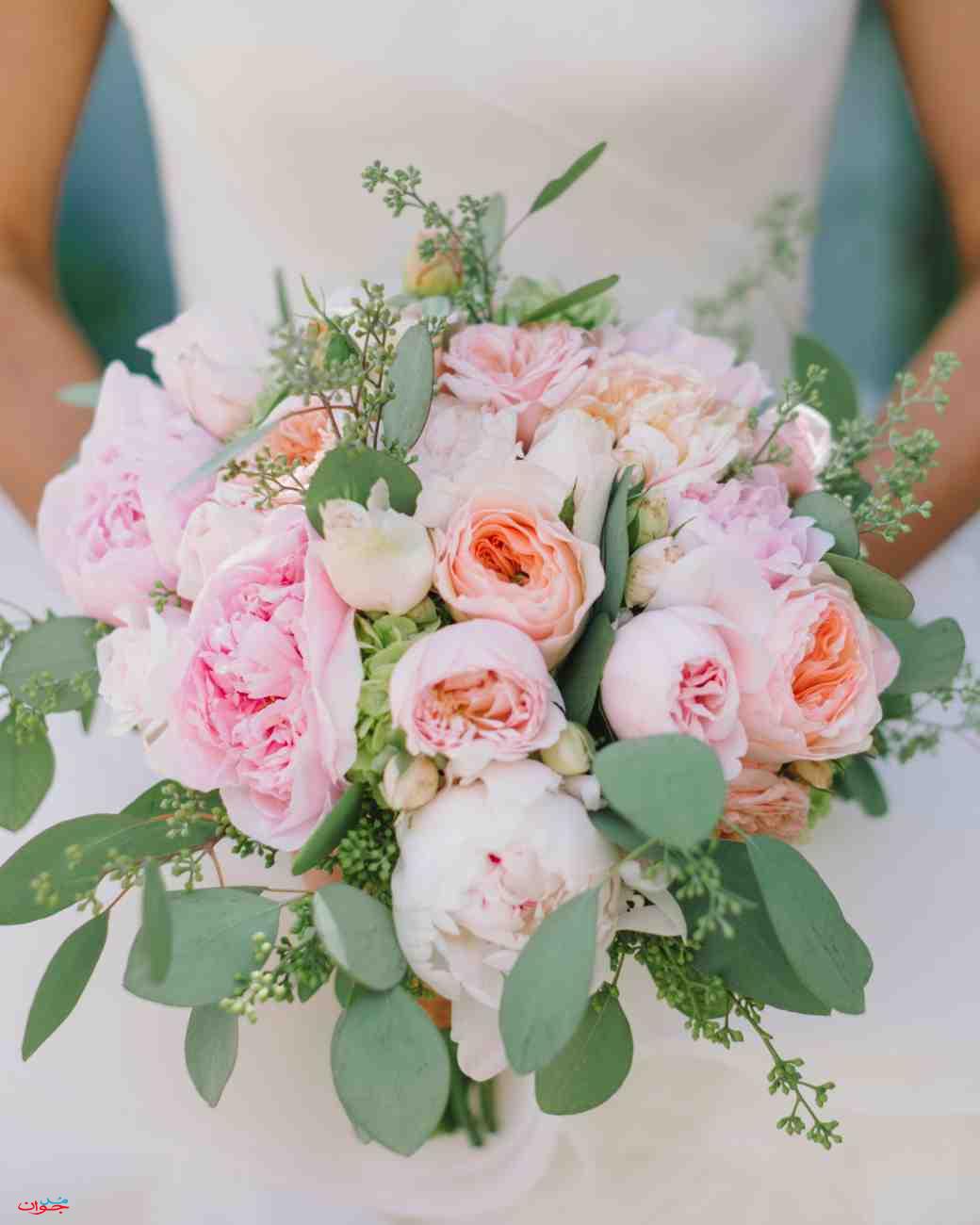 bright pink roses