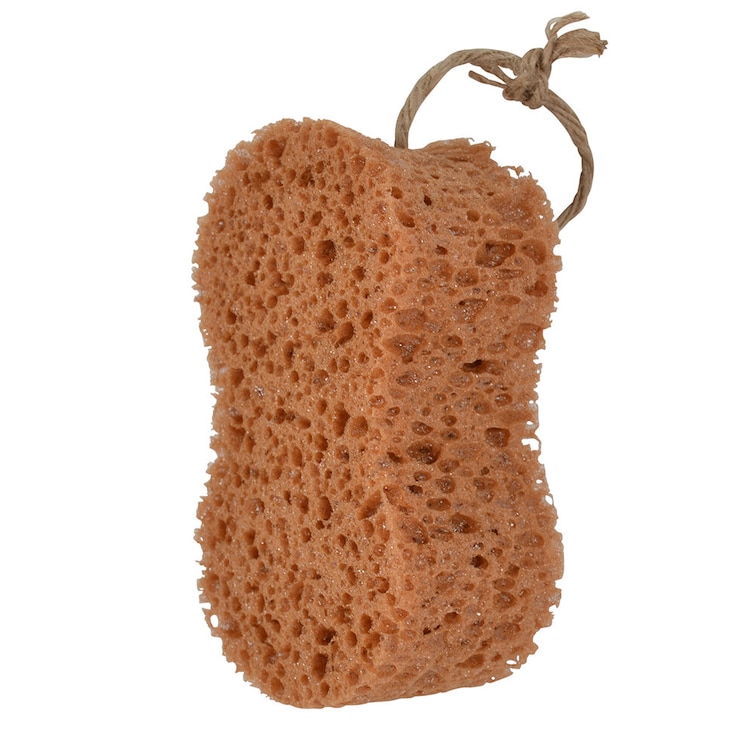 Groomingsvamp, Borstiq Farm