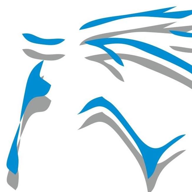 Köpa ridstövlar? Läs här!