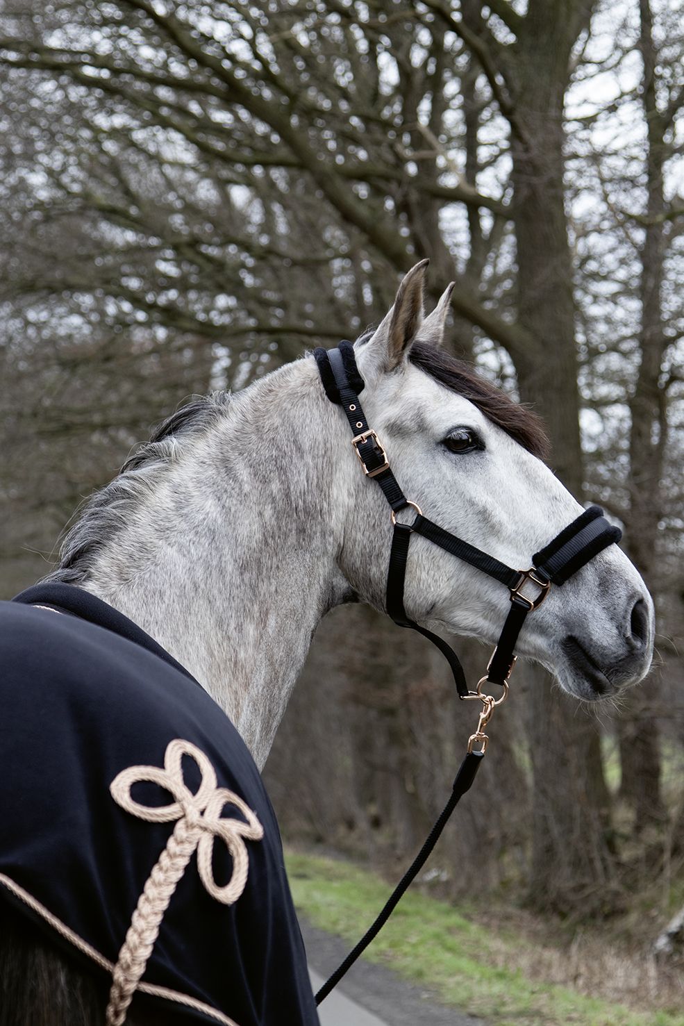 Nylongrimma, ponny-full, HKM Rosegold Glamour bild 2