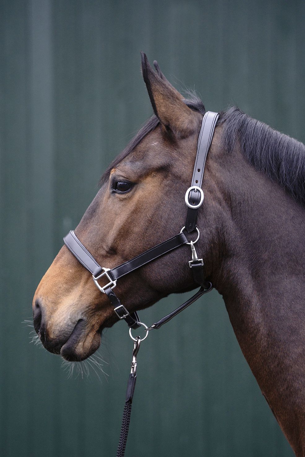 Lädergrimma, ponny-full, HKM Economic bild 3