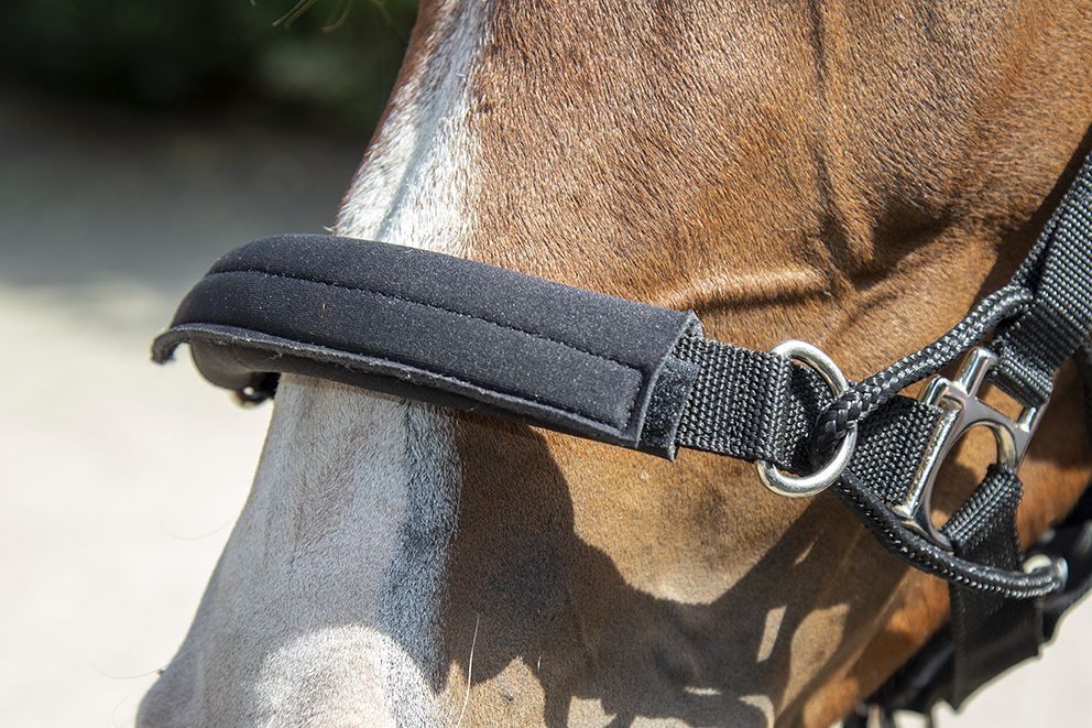 Nylongrimma, full, HKM Safe Control bild 5