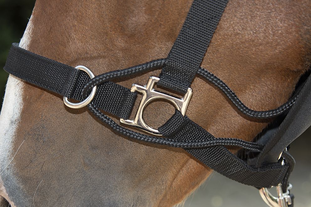 Nylongrimma, full, HKM Safe Control bild 3