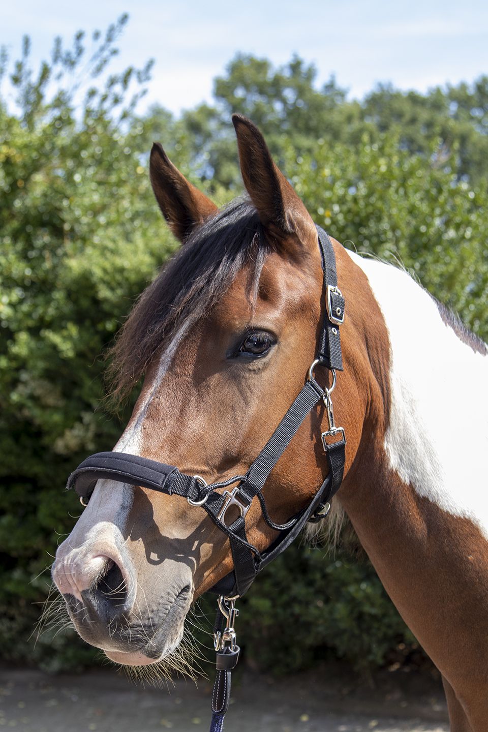 Nylongrimma, full, HKM Safe Control bild 6