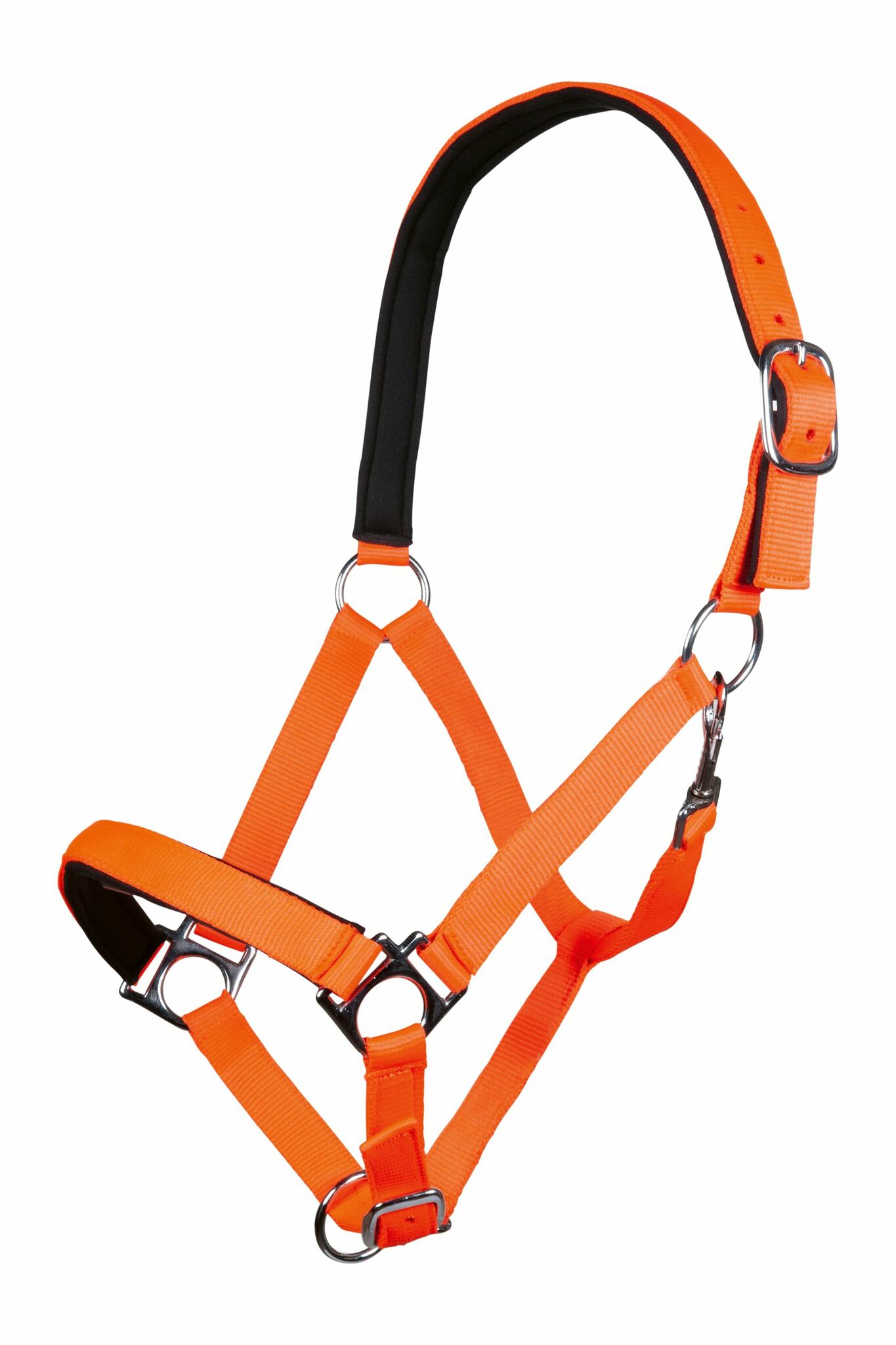 Nylongrimma, shetland-xfull, HKM Stars Softice bild 3