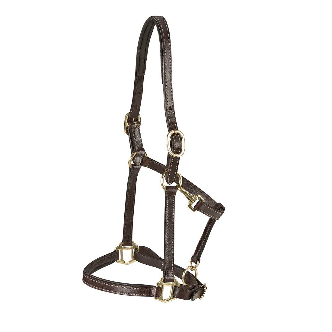 Lädergrimma, cob, Lippo Basic