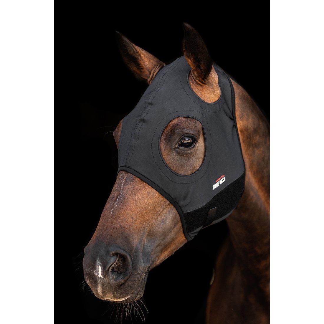 Titanium Mask, cob-xfull, Lami-Cell bild 2