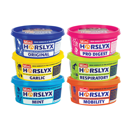 Slicksten, 650g, Horslyx