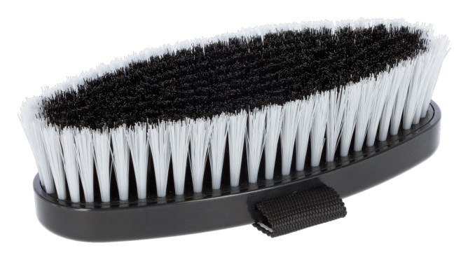 Ryktborste, Covalliero bild 2