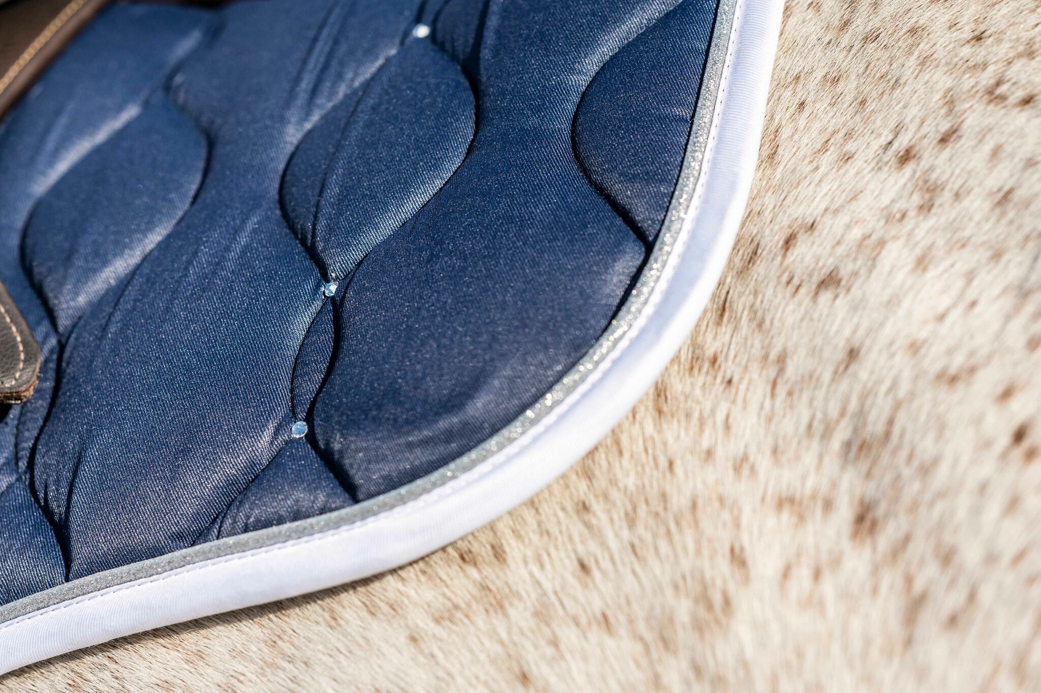 Schabrak, ponny-full, HKM Jumping Competition bild 2