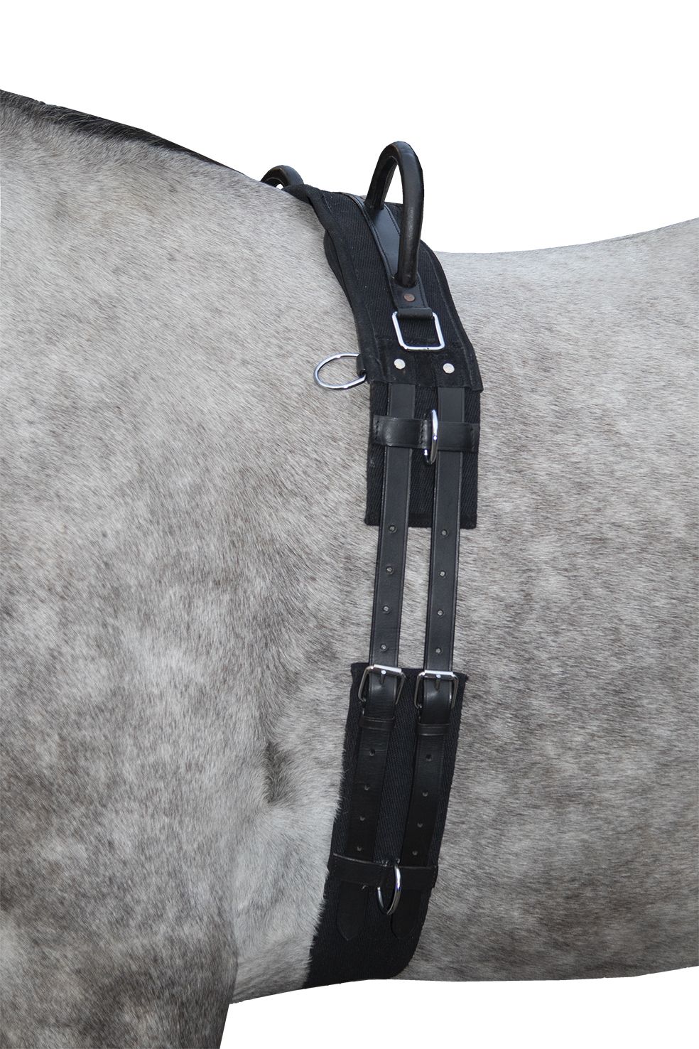 Barbackagjord, mini-full, HKM Canvas