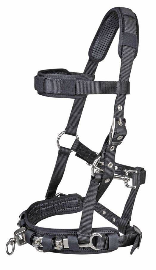 Kapson, ponny-full, HKM