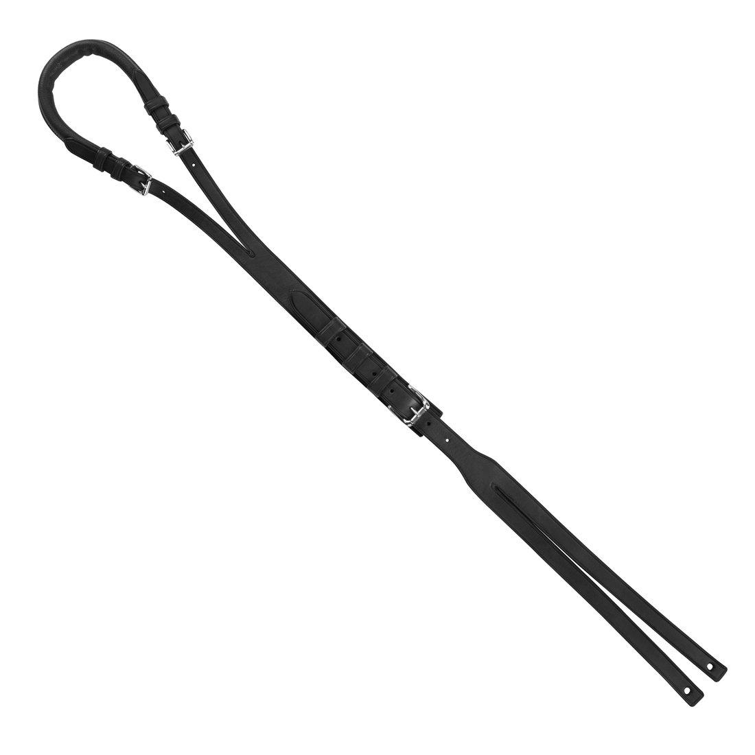 Svanskappa, ponny-full, Lippo bild 2