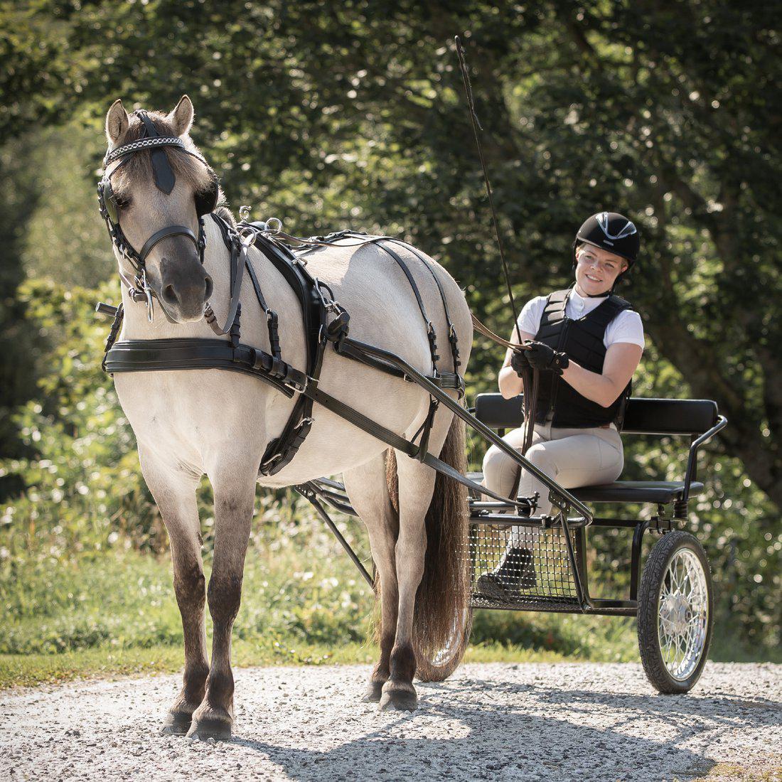 Bröstsele, mini-full, Lippo Basic/Supreme bild 2