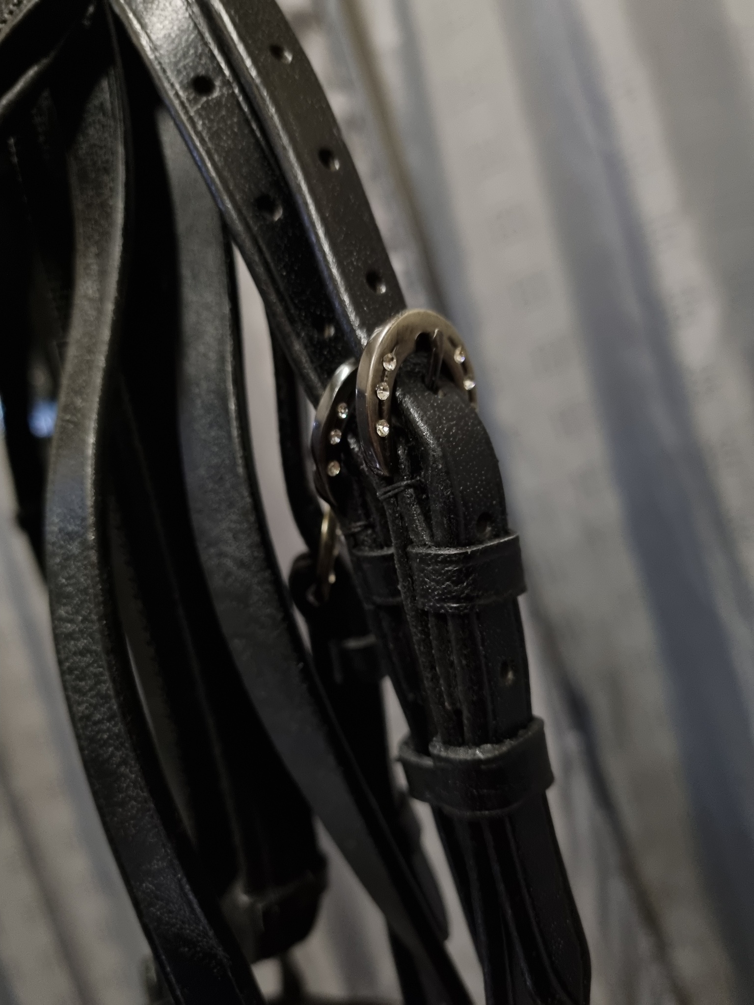 Aachenträns, XF, Hansbo Sport bild 2