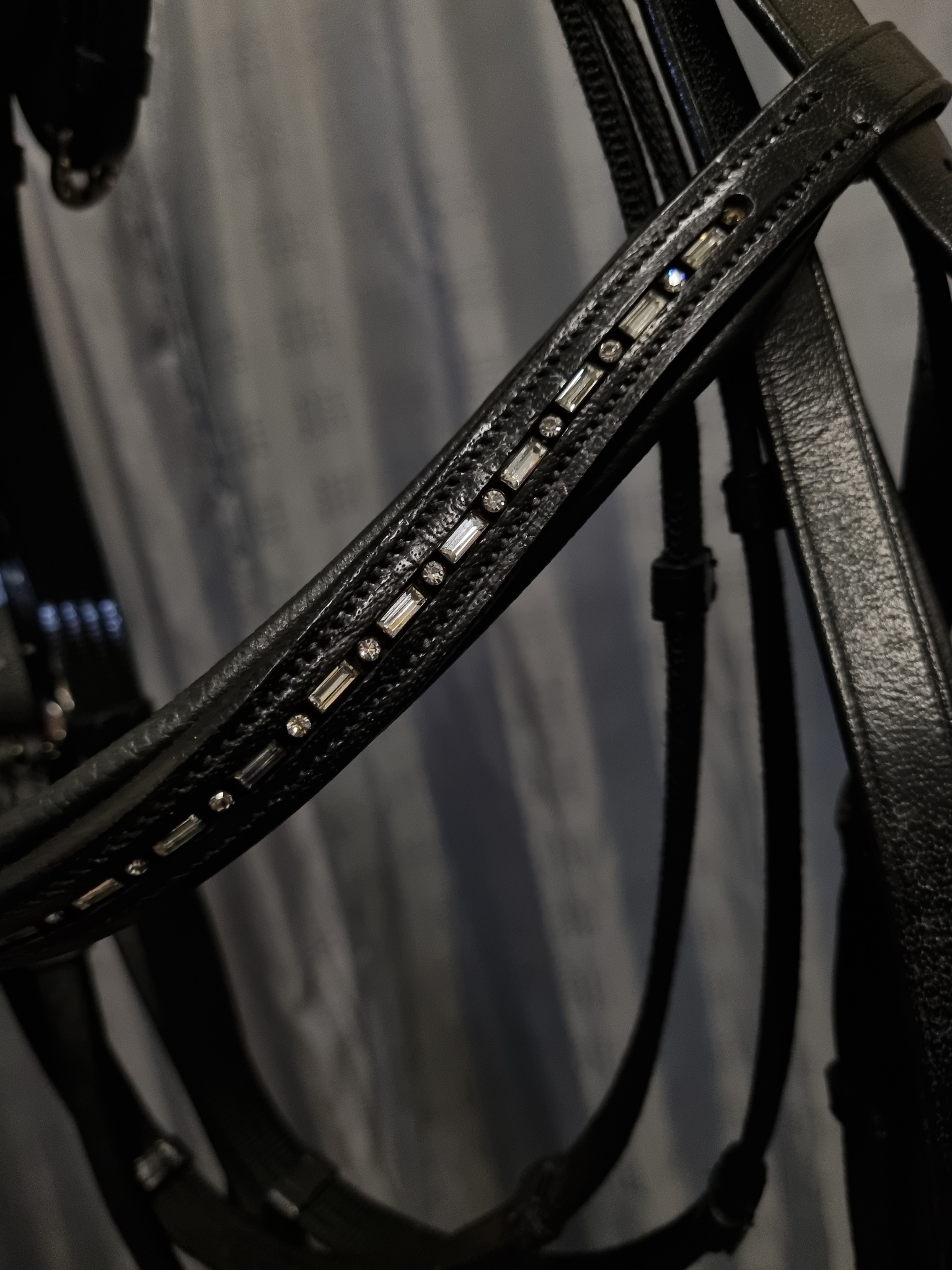 Aachenträns, XF, Hansbo Sport bild 3