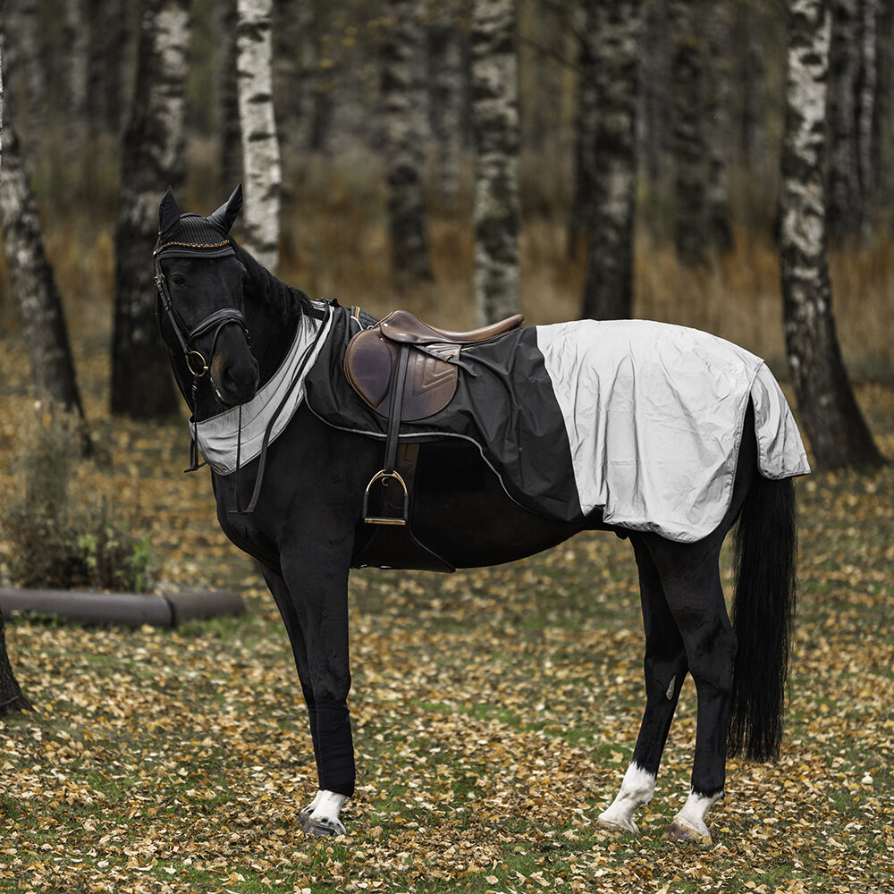Skrittäcke, ponny-full, Hansbo Sport Brilliance bild 2