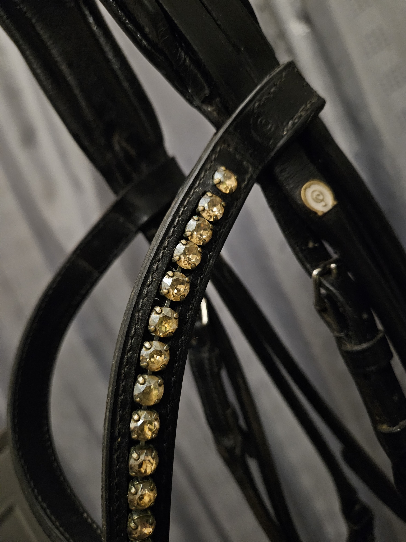 Kandarträns, XF, Otto Schumacher bild 3