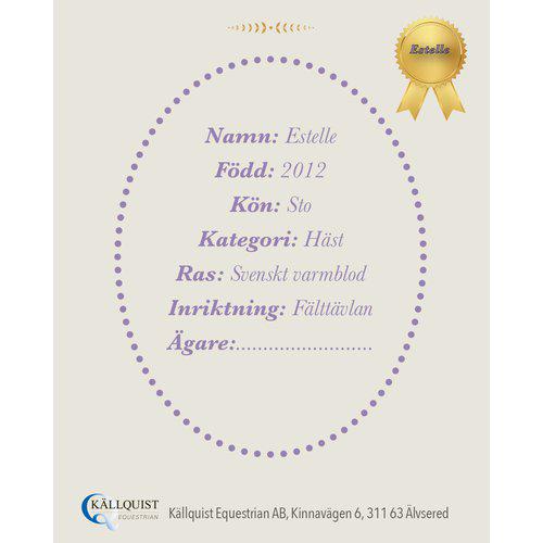 Käpphäst, Källquist bild 10