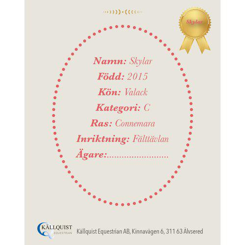 Käpphäst, Källquist bild 14