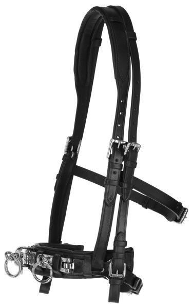 Kapson, cob-full, Covalliero Exklusiv