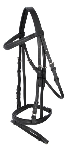 Aachenträns, ponny-full, Covalliero Standard