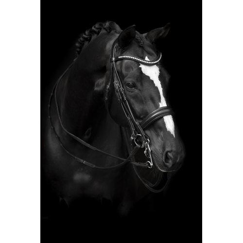 Kandarträns, cob-xfull, Lippo Supreme Delicato bild 4