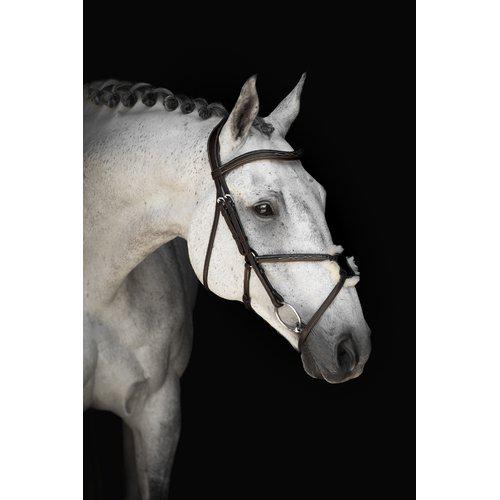 Pullarträns, ponny-xfull, Lippo Supreme Wilson bild 3