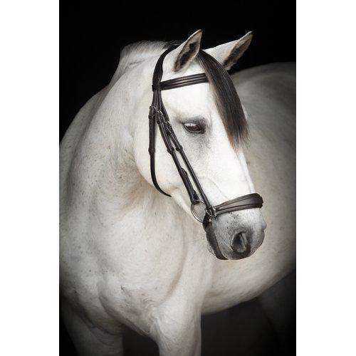 Remontträns, ponny-xfull, Lippo Supreme Remont bild 3