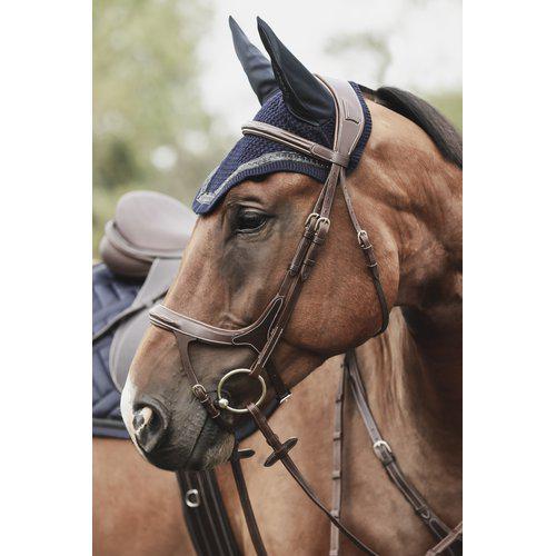 Aachenträns, ponny-xfull, Lippo Fazzino bild 4