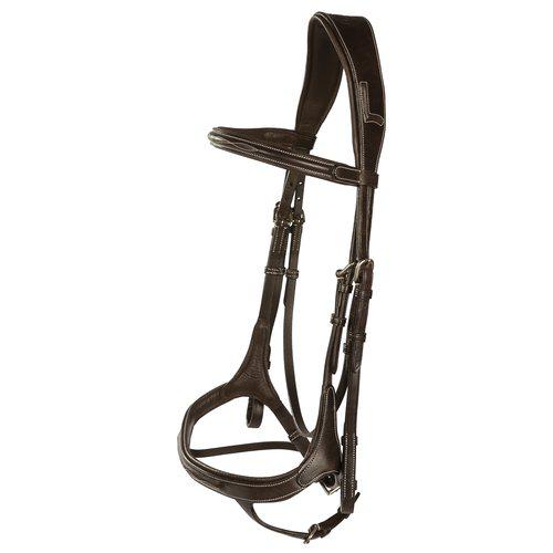 Aachenträns, ponny-xfull, Lippo Fazzino bild 2