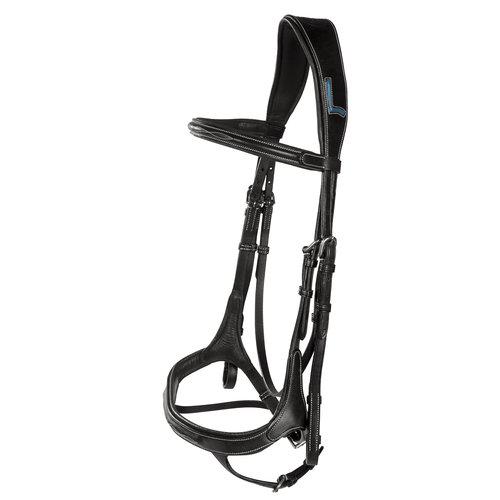 Aachenträns, ponny-xfull, Lippo Fazzino