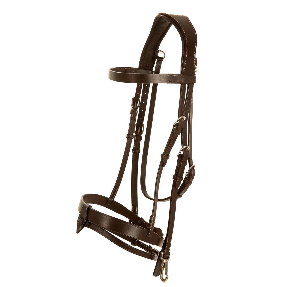 Aachenträns, ponny-xfull, Lippo Basic Trainer bild 2