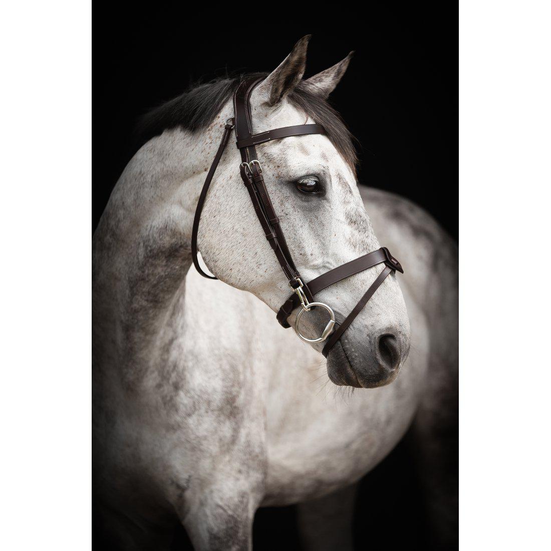 Aachenträns, ponny-xfull, Lippo Basic Trainer bild 3