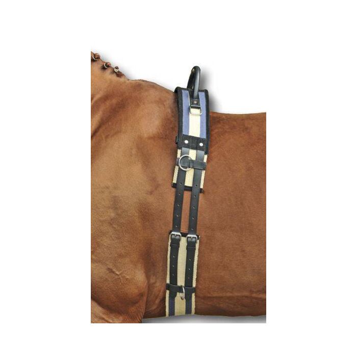 Barbackagjord, shetland-full, HKM bild 2