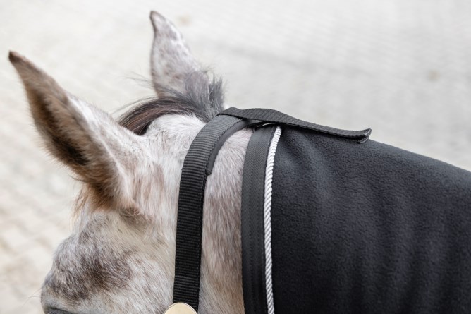 Fleecetäcke, 115-155 cm, CovallieroTherm bild 3