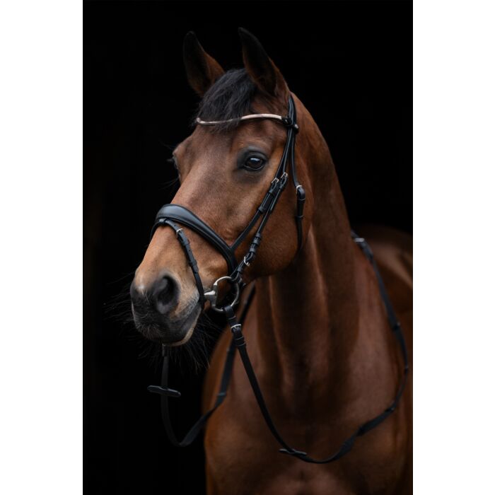 Aachenträns, ponny-full, HKM Kopenhagen bild 2