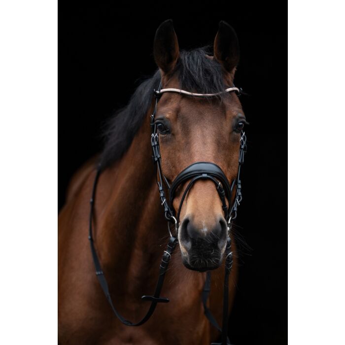 Aachenträns, ponny-full, HKM Kopenhagen bild 6