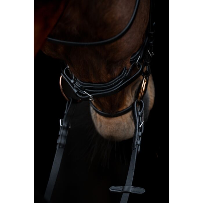 Aachenträns, ponny-full, HKM Kopenhagen bild 3