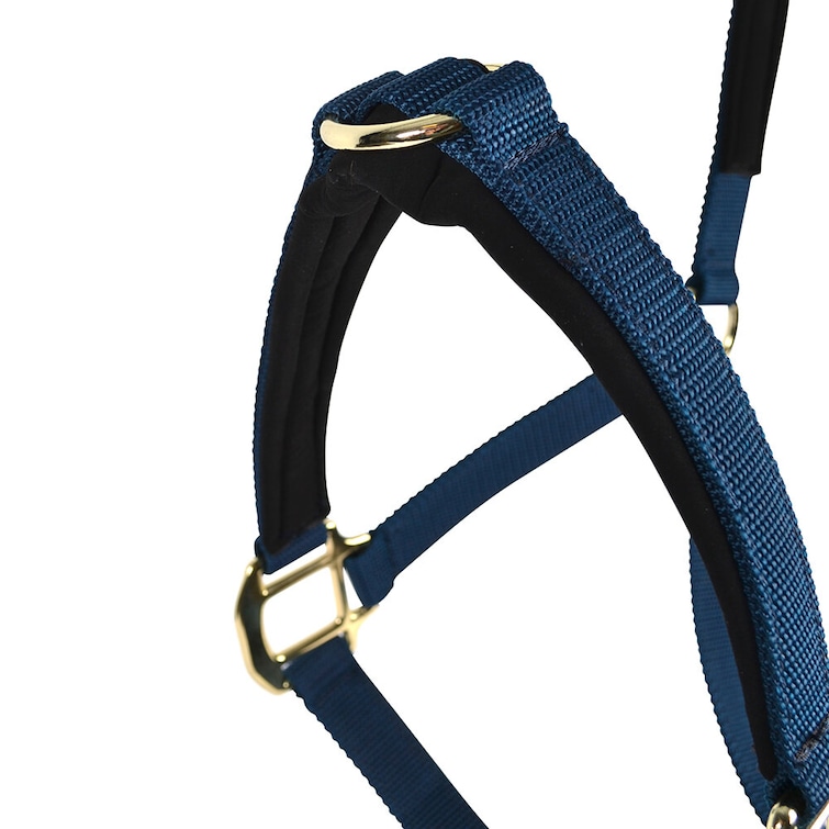 Betesreducerargrimma, shetland-full, Hansbo Sport bild 2