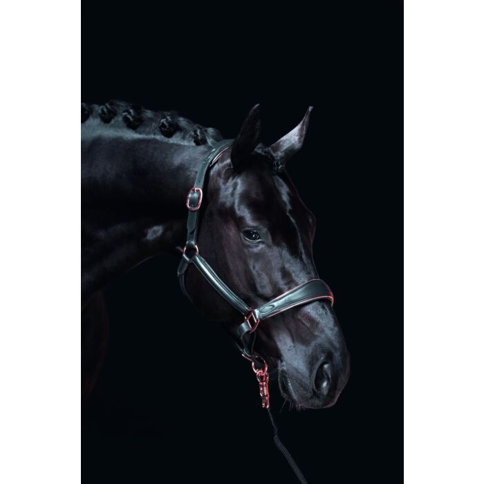 Lädergrimma, ponny-cob, HKM Rosegold bild 2