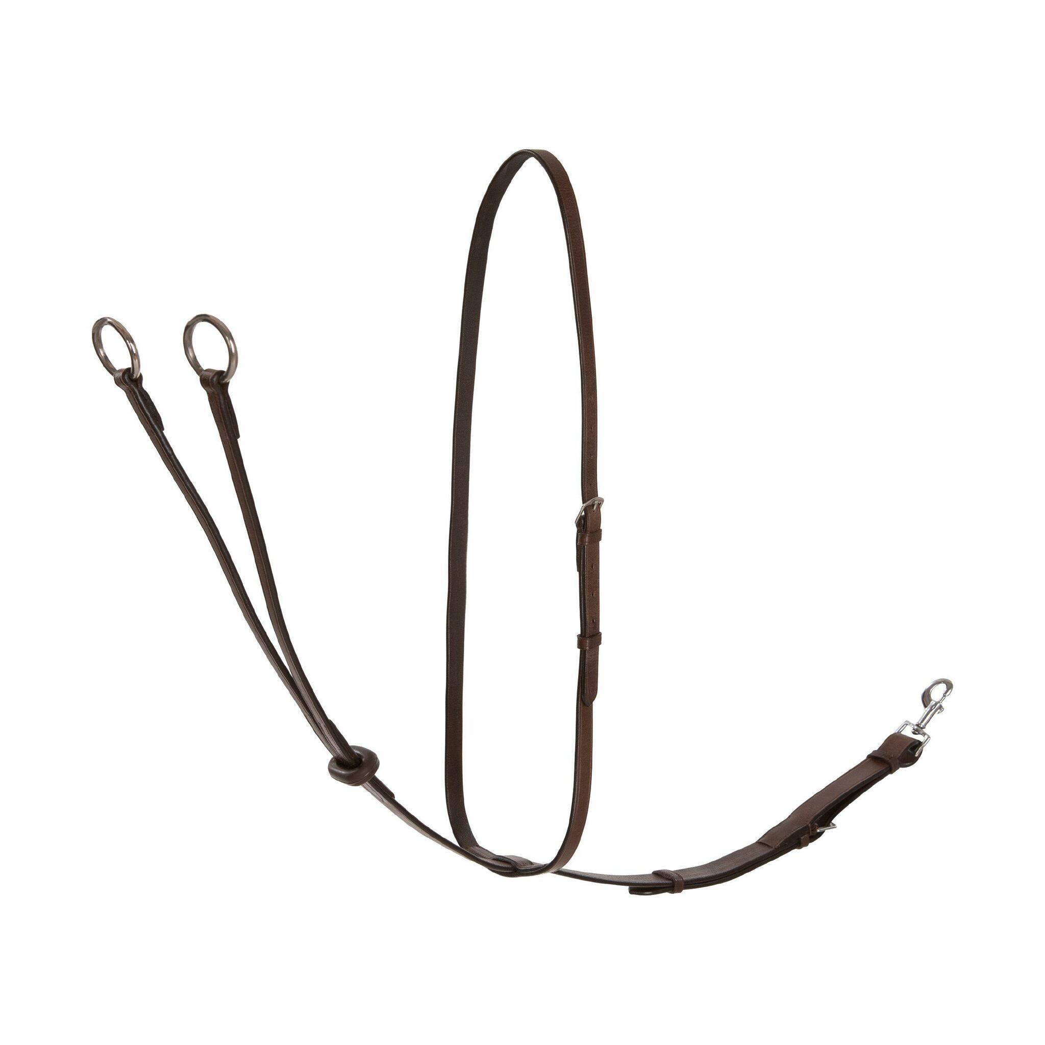 Martingal, ponny-full, Lippo Selected bild 2