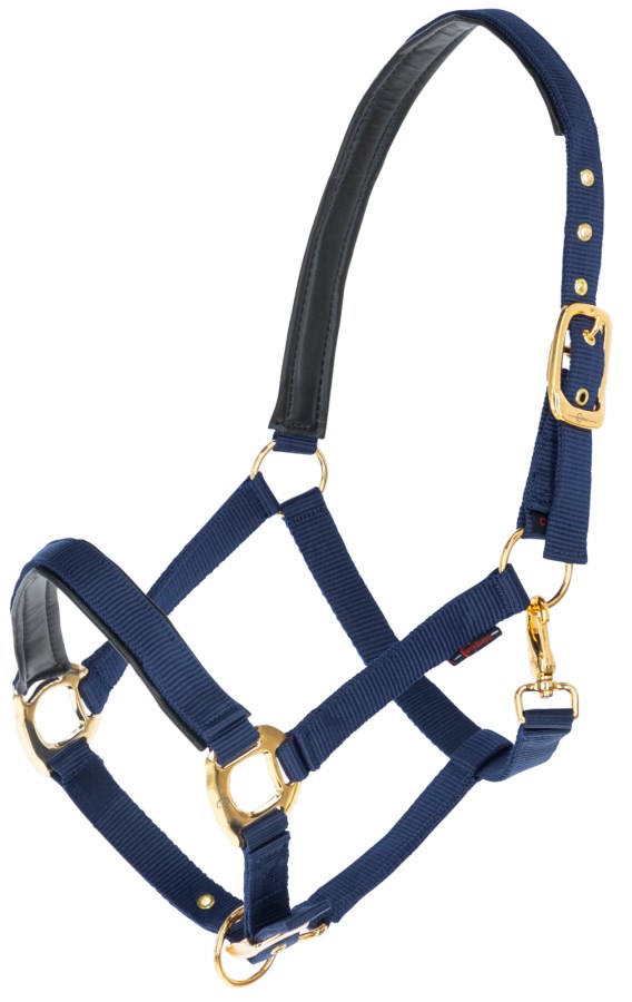 Nylongrimma, ponny-xfull, Covalliero TopLine