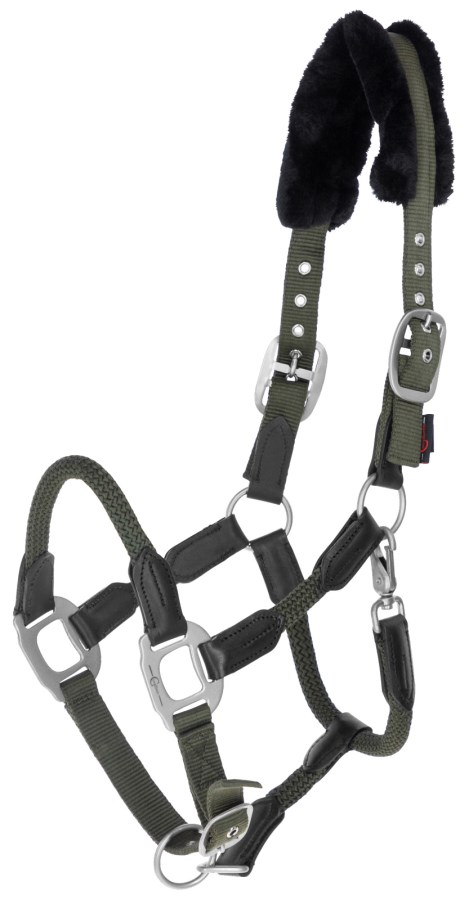 Nylongrimma, ponny-full, Covalliero Cordano