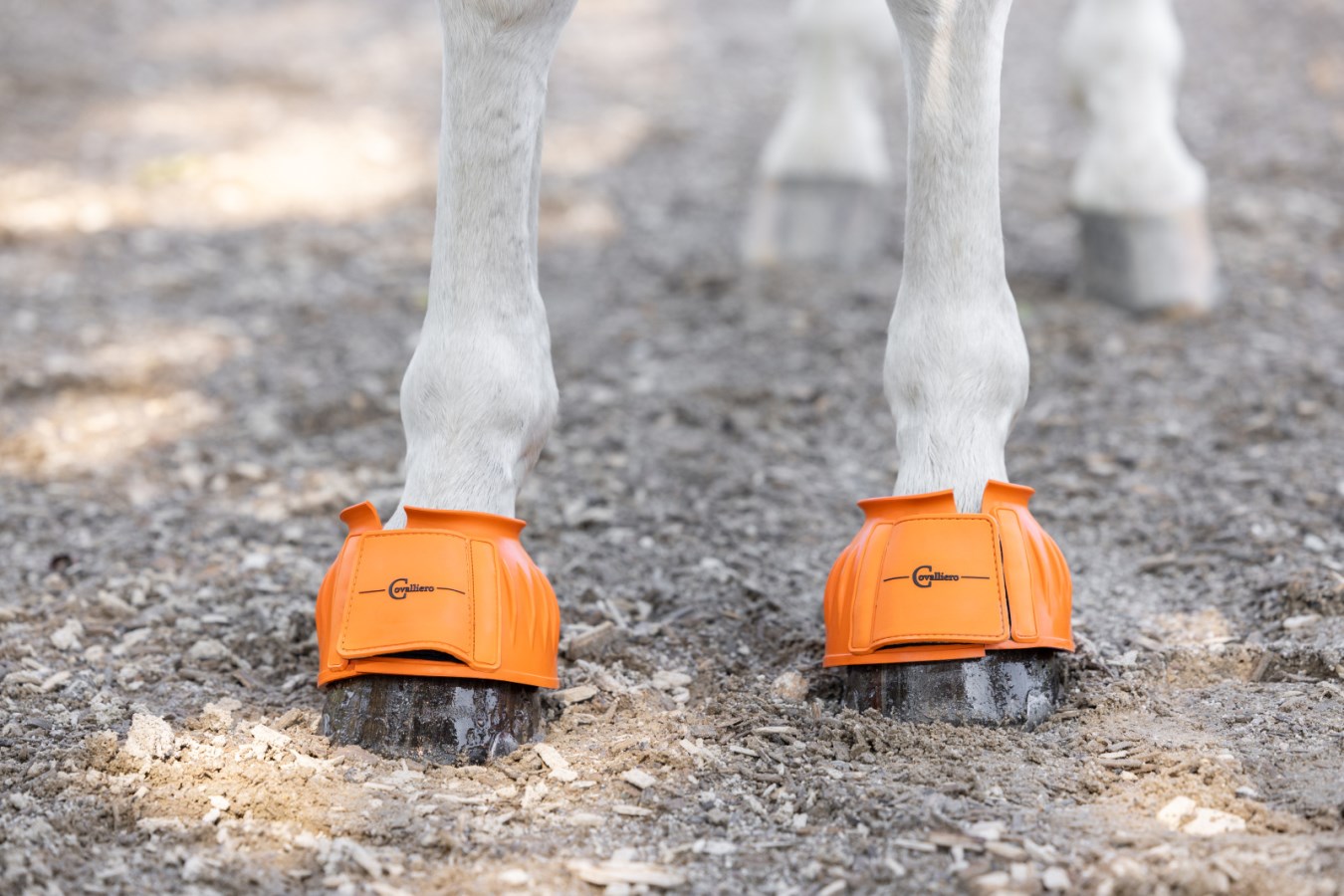 Boots, ponny-xxfull, Covalliero bild 5