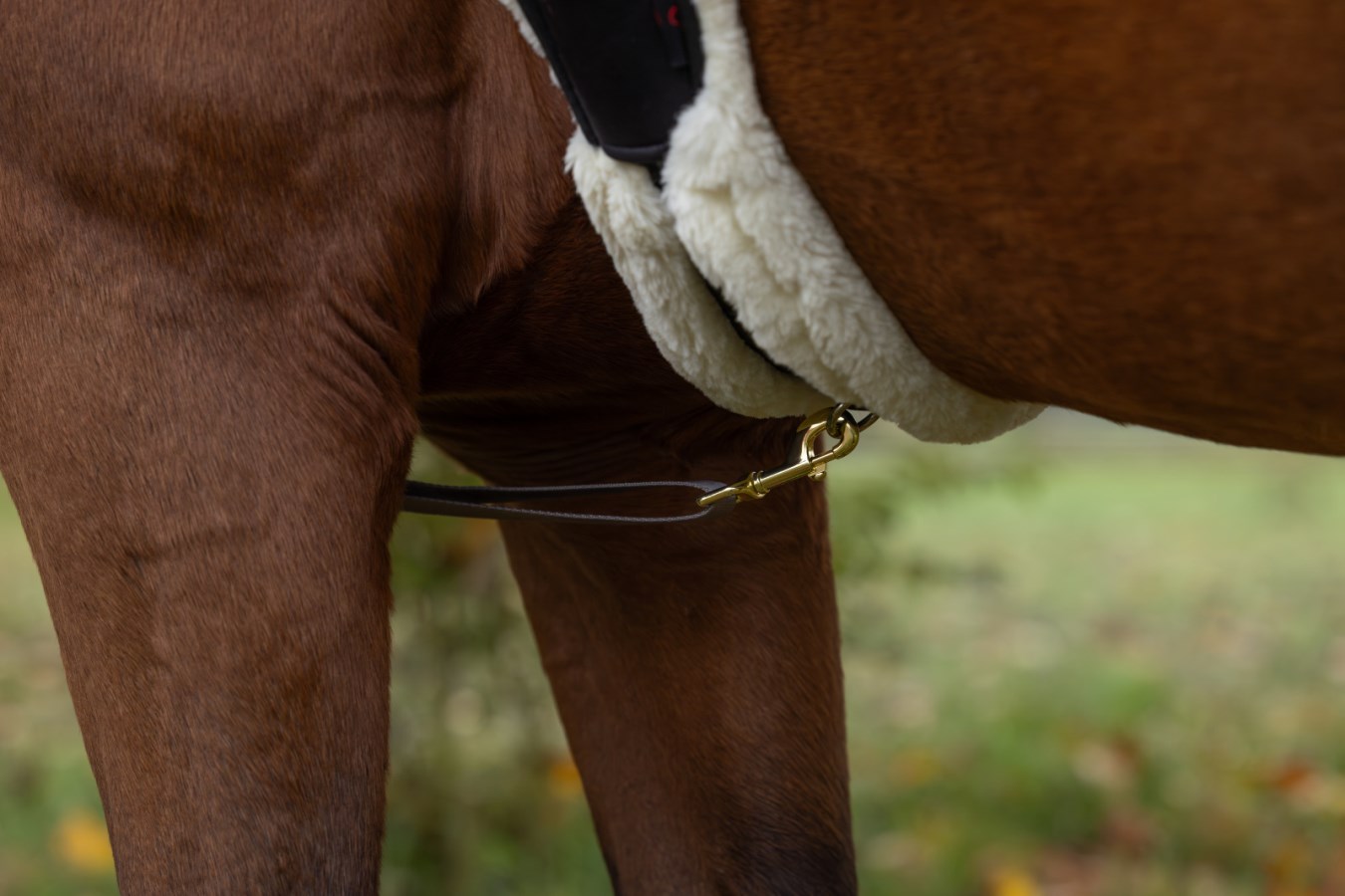 LED-reflexförbygel, Covalliero bild 4