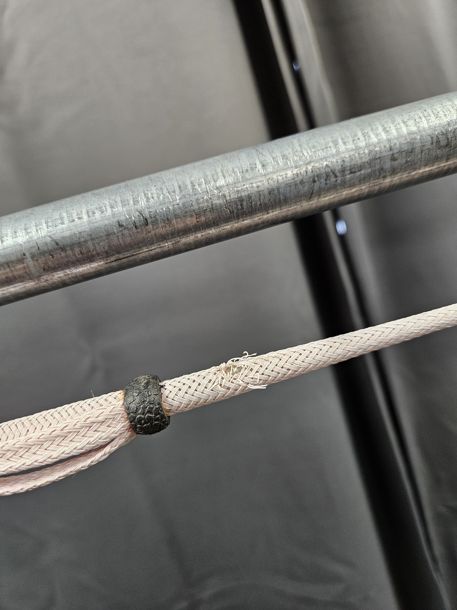 Ridspö, 66 cm bild 2